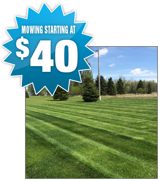 Lawn Mowing Starting at $25